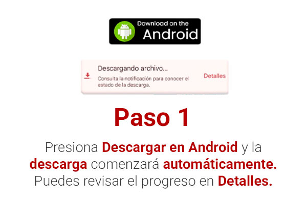 Instrucciones para descargar CATEM