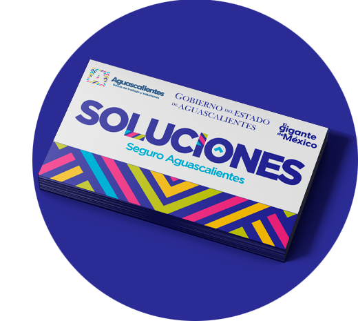 Tarjeta Seguro Aguascalientes
