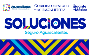 TARJETA SEGURO AGUASCALIENTES PNG